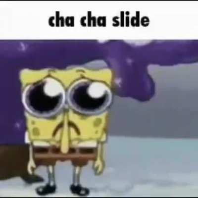 cha cha slide