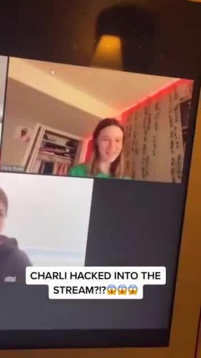 Famous Tik Tok star Charli D'Amelio crashed a random zoom and then nobody recognized her