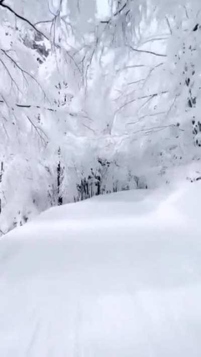 Winter road with snow and perfect white scenery
