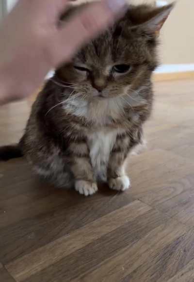 Bro woke up a lil’ grumpy🥺🤭