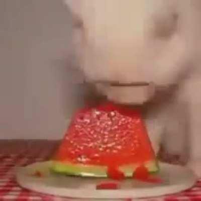 MMMMMMM WATERMELON