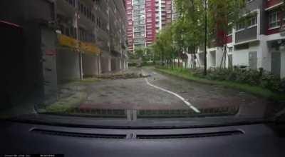 lightnight strike in bb