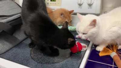 They don’t really like to share.