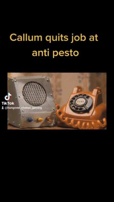 Callum quits job at anti pesto