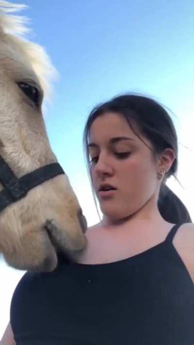 Average horse girl