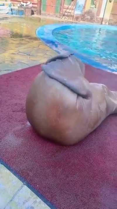 When you feel energized