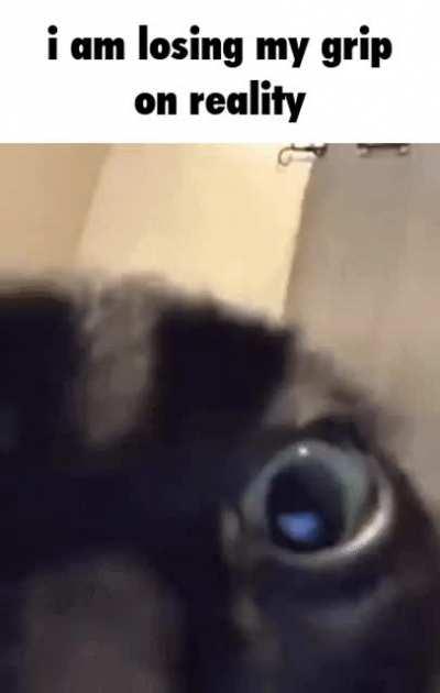 average physicist/mathematician