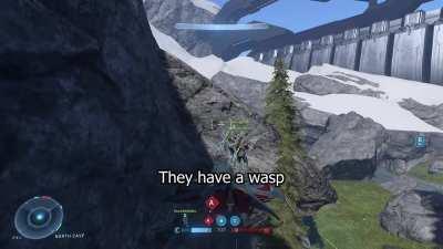 How to use the wasp in halo infinite!