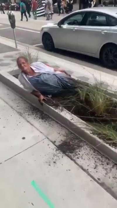 Such a beautiful vegetable