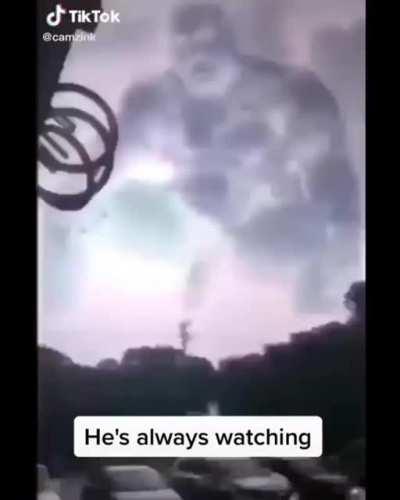 Harambe? Is that you?