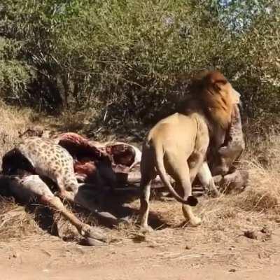 Fresh out of the oven