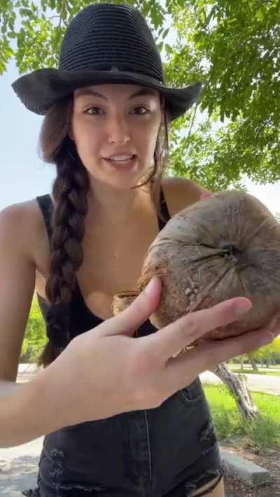 Opening a coconut 