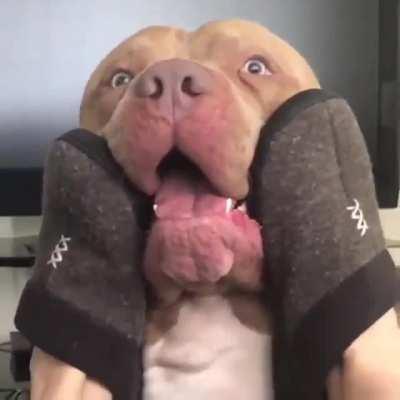 In awe of the power of the slippers.