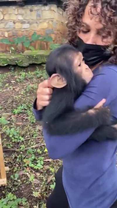 After a long trip by plane, boat, and car, Kailo finally gets the hug he needed.