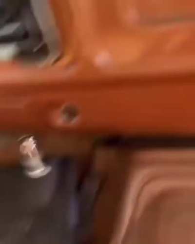 In the name of science