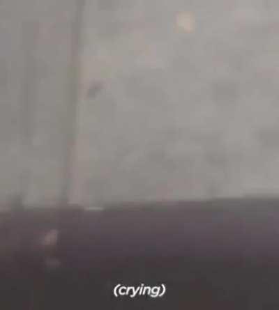 Finding your dog after he went missing