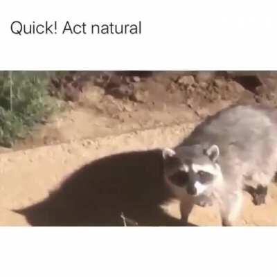 This vid just made my day even better