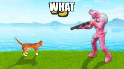 funny fortnite cat
