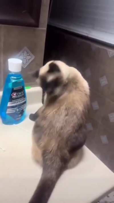 Damn! I just cleaned my coat