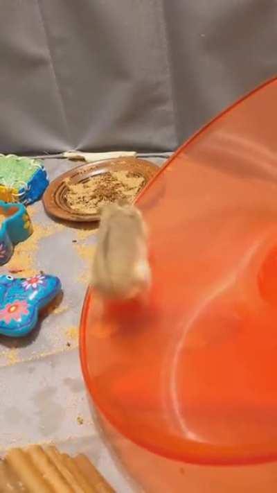 Барабанщик