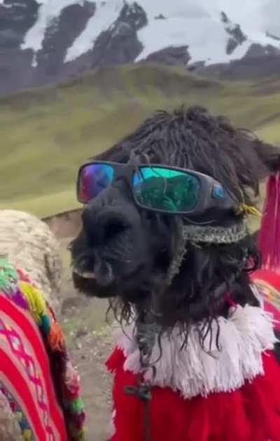 It is called fashion :)