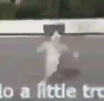 E e e a a a a a a a a