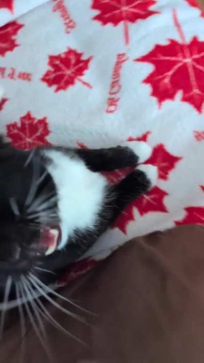 Ashton being activated