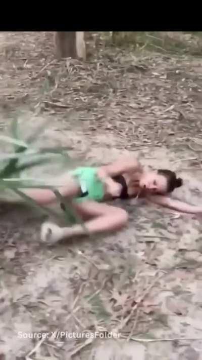 WCGW when going near an elephant(No Gore. NFSW for trunk smash )