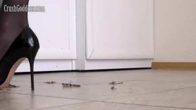Milena Crush Goddess - Bug Crushed
