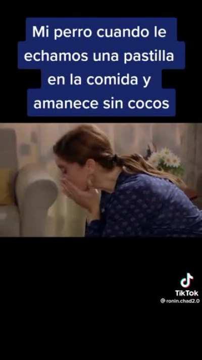 utede son uno traidore:(