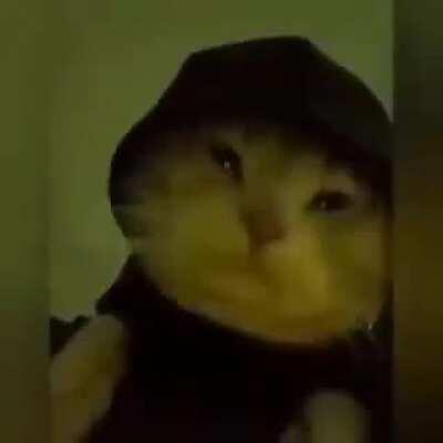 orslokx - Video #1321