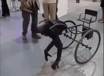 What is this fuckery???