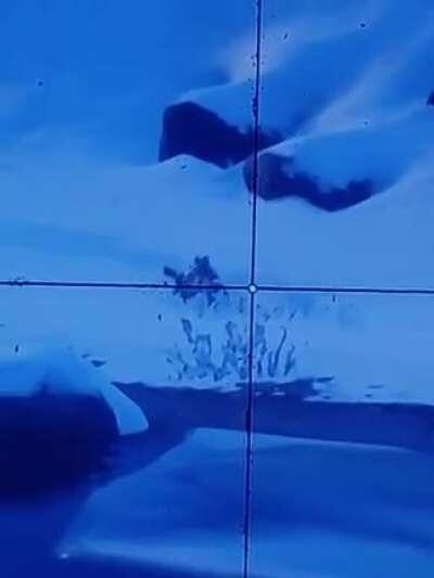 I didn't expect to see this in my sights