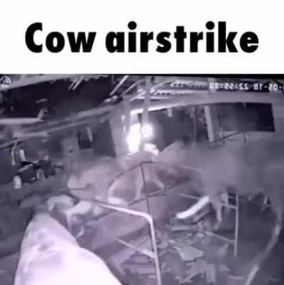 cowstrike