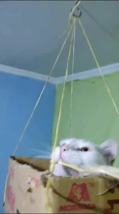 We're gonna need a stronger hook