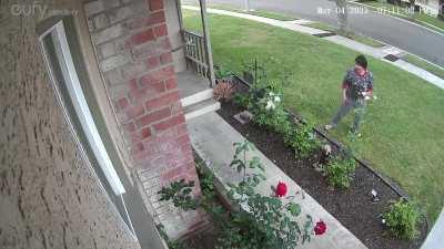 My next door neighbor cuts off some roses from my yard. Already towed one of their tenants car for parking on my driveway. What is the best course of action? I just can’t believe I have to talk about this to them not respecting my property rights (Anaheim