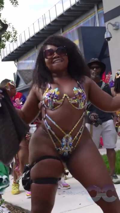 Miami Carnival Curves