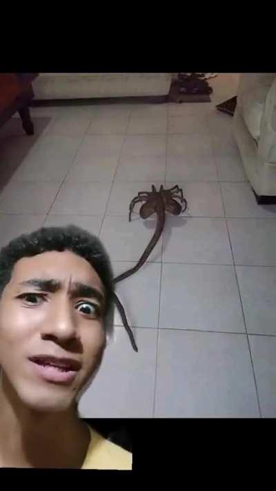 si o que, llega a existir esto y me cambio de planeta