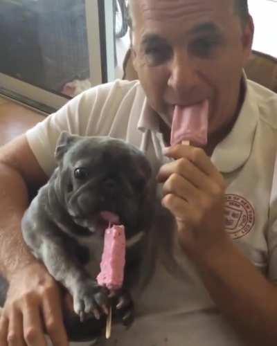 EViL mAn tRickS fAmiLY DoG inTO eAtiNg PoISoN!!!11