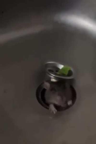 Pull on my hair why don’t you