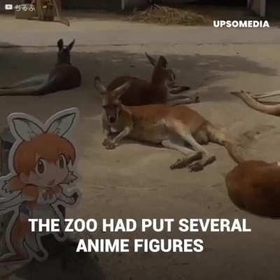 Penguin of Culture (R.I.P ð¢) CTTO