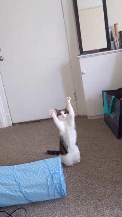 'Hey, don't look at your lecture, look at me!'