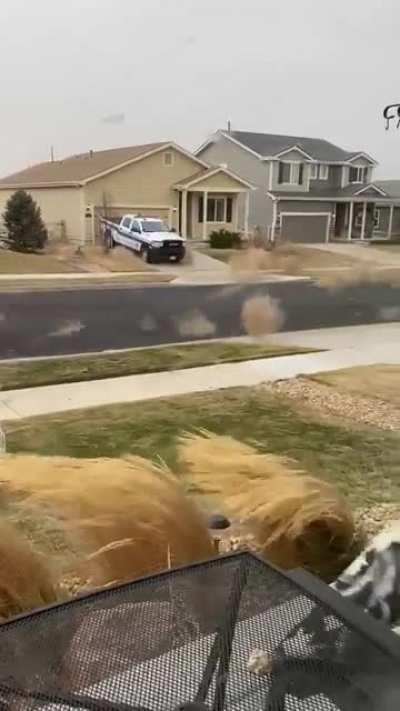🔥 This swarm of Tumbleweeds barreling down a residential street north of Denver.