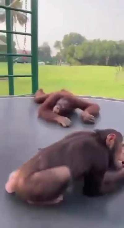 Reject swinging, return to bounce