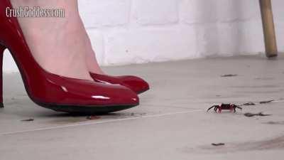 CG Marina crab crush