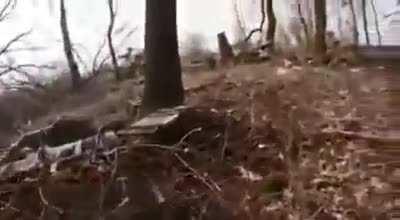 Russian soldier outflanks Ukrainian fighting position, tries to get them to surrender one of the Ukrainians resists handing over his weapon.