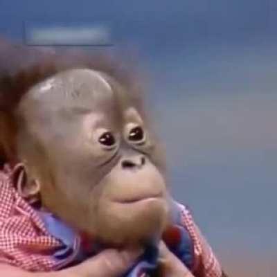 C Turbio (Pd: Alguien sabe el nombre de la rola?)