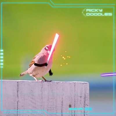 May the Doodles be with you!