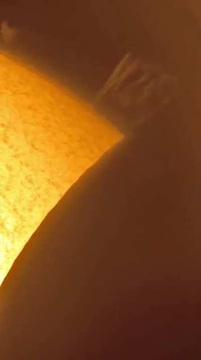 Solar eclipse through my telescope