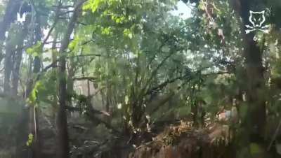 Operators of the 6th Ranger Regiment of the Special Operations Forces destroyed an enemy group and captured one enemy serviceman in the Kursk direction right near the state border of Ukraine. June 2025